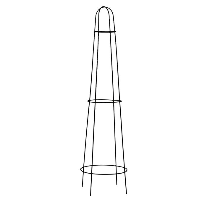 Jack 75cm Black Cone Plant Trainer
