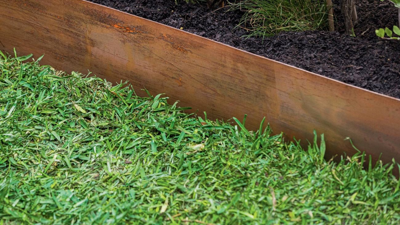 Garden bed with green plants, dark soil, and rusty metal edging separating it from green grass.