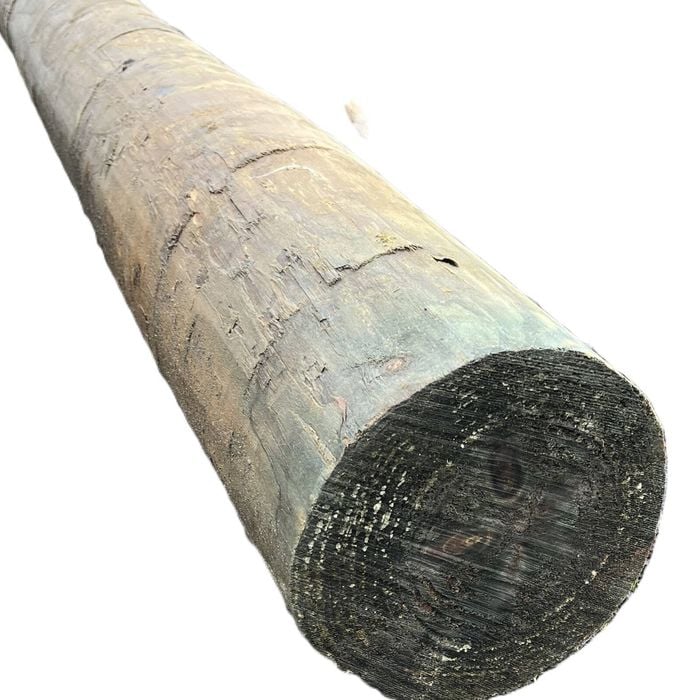 150 - 200mm 2.4m Pole Treated Pine