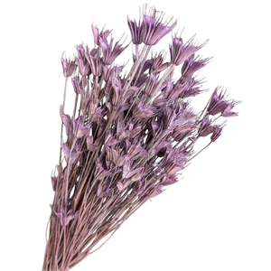 Blooms Of Joy 50cm Mauve Nigella Flowers