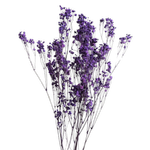 Blooms of Joy 60cm Lavender Babies Breath 4 Piece