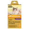 Advocate For Cats Flea and Worming Spot-On Over 4kg - 1 Pack