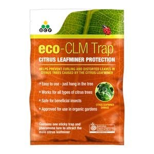OCP Eco-CLM Trap