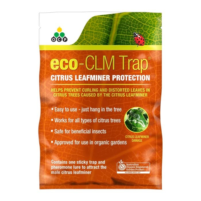 OCP Eco-CLM Trap