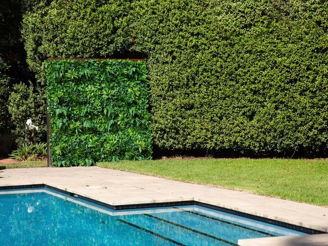 hedge artificial  Vertical Garden besides a swimming pool