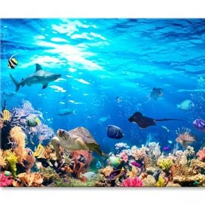 Underwater Scene Coral Reef & Fish  Print 100% Australian Made 150 x 100cm  (Stretched)