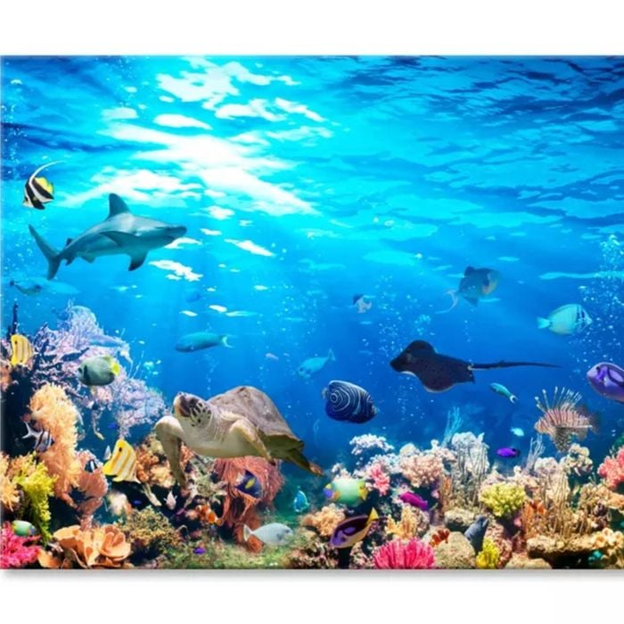Underwater Scene Coral Reef & Fish  Print 100% Australian Made 150 x 100cm  (Stretched)