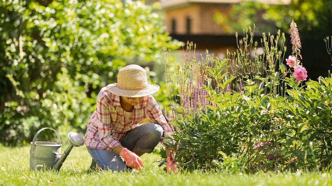 Woman kneeling on the grass, working in the garden
