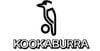 Kookaburra