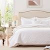 Charlie 3 Piece Lightly Quilted Polyester Embossed Coverlet Set Queen White