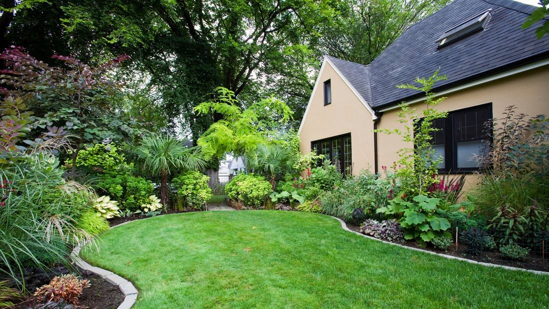 Yates outdoor grass area in backyard with grass being nice and lush