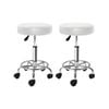 Artiss Salon Stools White x2