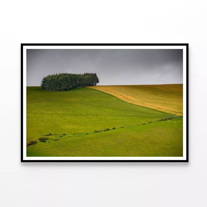 Green Field with a Tree  Print 100% Australian Made 90x60cm  (Poster)
