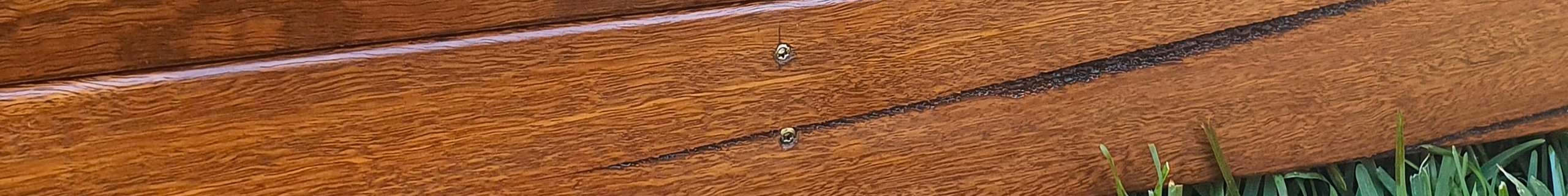Close up of warm toned timber deck and lush green grass