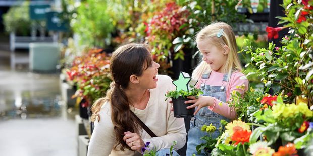 Woman and young child choosing colourful flowering plants together in a Bunnings store.