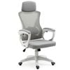 FORTIA Ergonomic Office Chair, Height Adjustable Lumbar Support, White/Grey