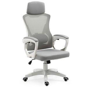 FORTIA Ergonomic Office Chair, Height Adjustable Lumbar Support, White/Grey