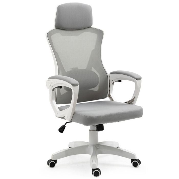 FORTIA Ergonomic Office Chair, Height Adjustable Lumbar Support, White/Grey