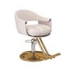 Lauft Light Grey Salon Stool Swivel Chair Backrest Barber Chair Hydraulic Lift