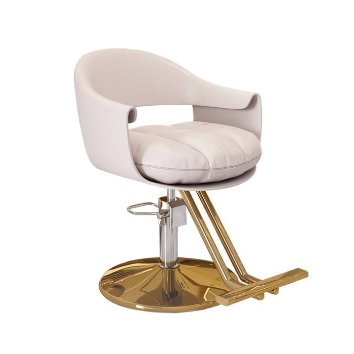 Lauft Light Grey Salon Stool Swivel Chair Backrest Barber Chair Hydraulic Lift