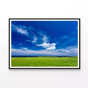 Coastline and Grassland  Print 100% Australian Made 120x90cm  (Poster)