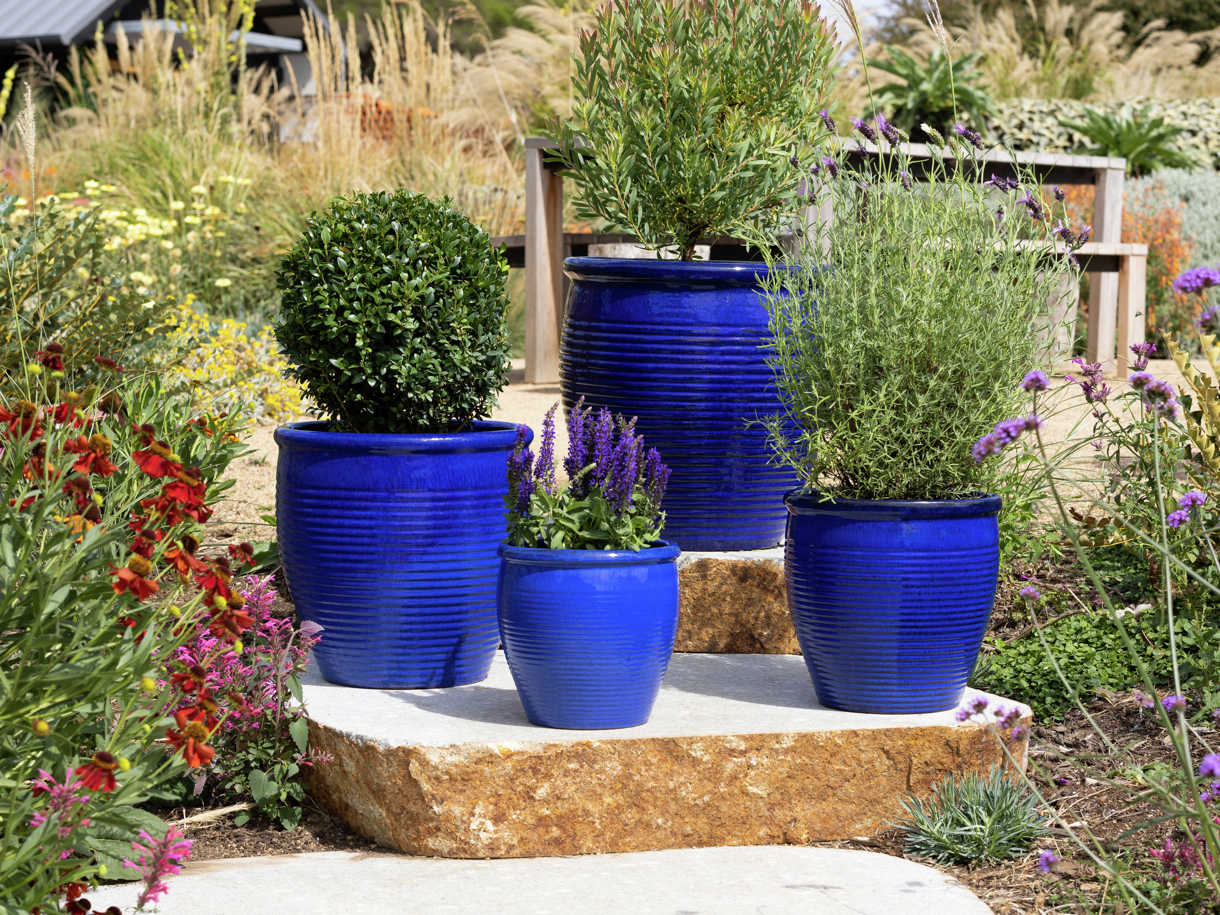 How To Style Outdoor Plant Pots With Northcote Pottery Bunnings Australia