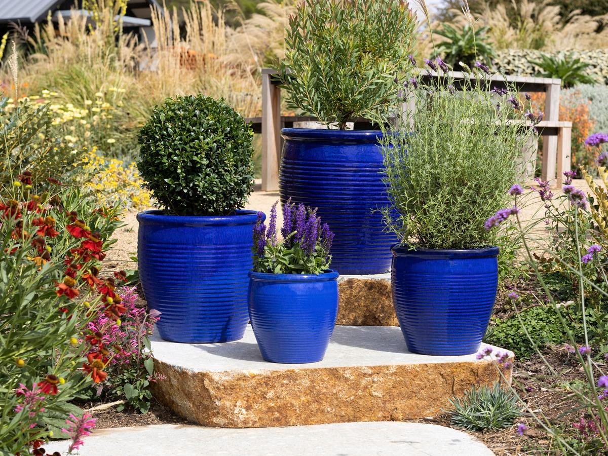 How To Style Outdoor Plant Pots With Northcote Pottery Bunnings Australia