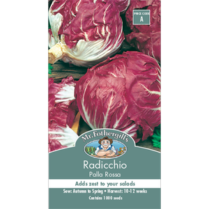 Mr Fothergill's Seed Radicchio Palla Rossa