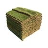 Eureka Premium VG 40m² Kikuyu Turf - Pallet