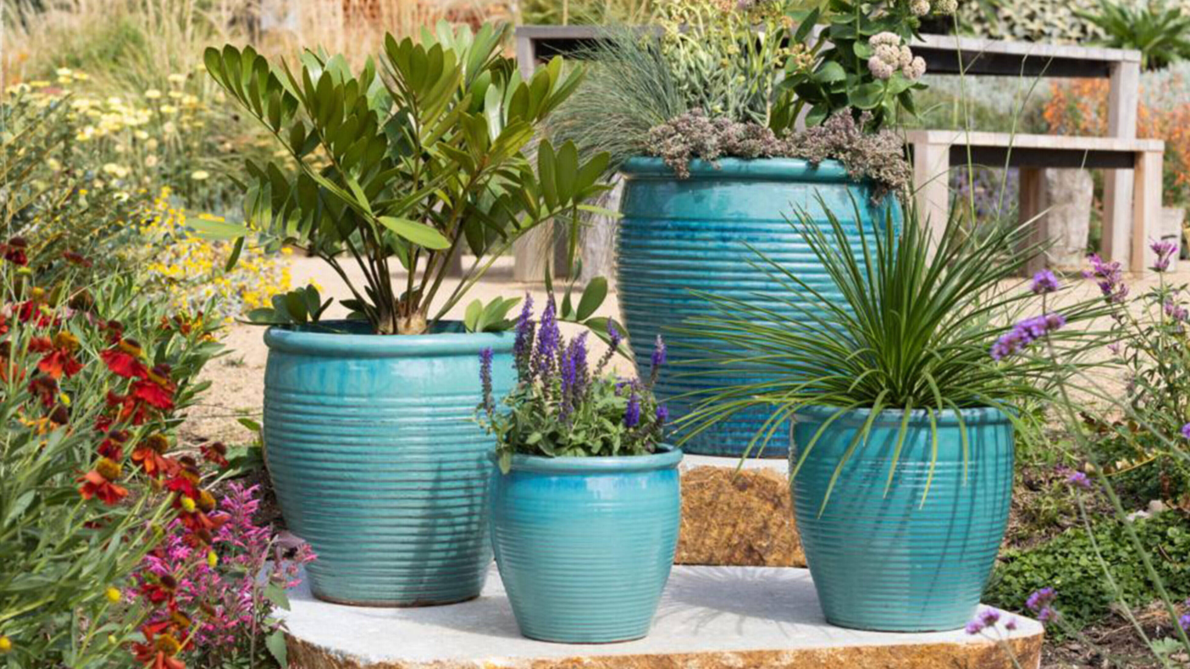 Four Northcote Pottery plant pots of different sizes filled with Mediterranean-style plants sit on a stone slab step in a garden
