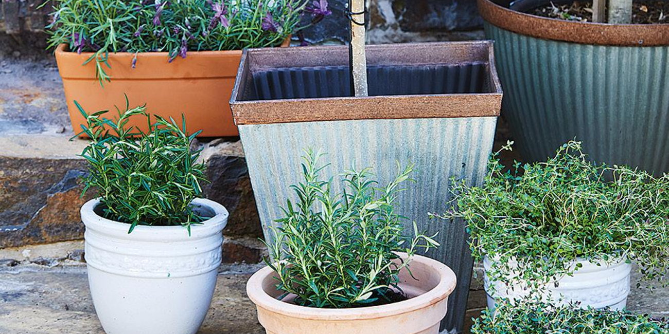 metal pots in outdoor area