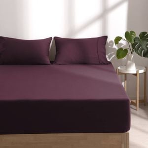 Dreamaker Superfine Washed Microfibre Combo Fitted Sheet Set Cherry Queen Bed