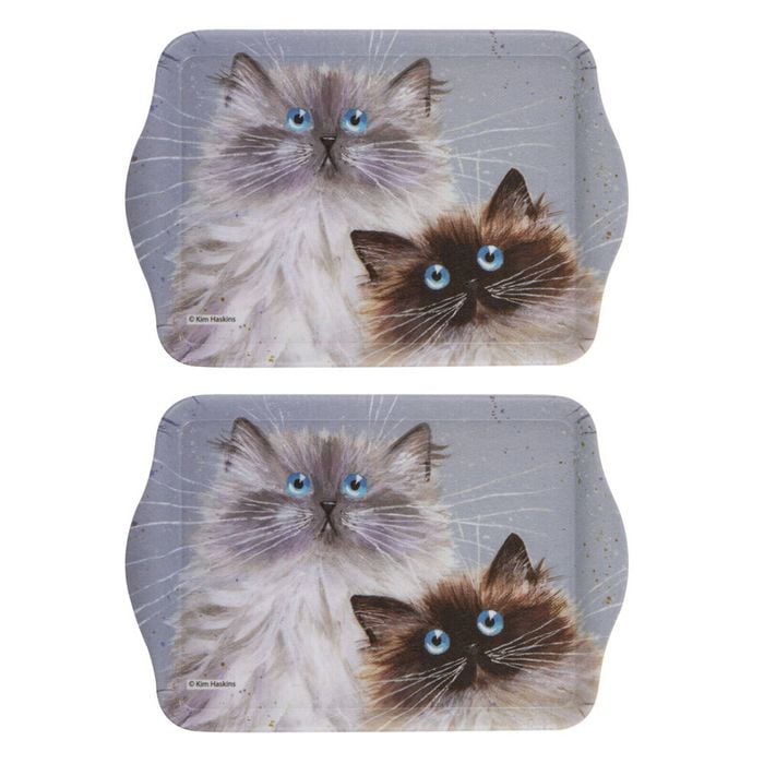 2pc Ashdene Kim's Cats Sully & Bucky Rect Trinket Scatter Tray 21x14.2cm