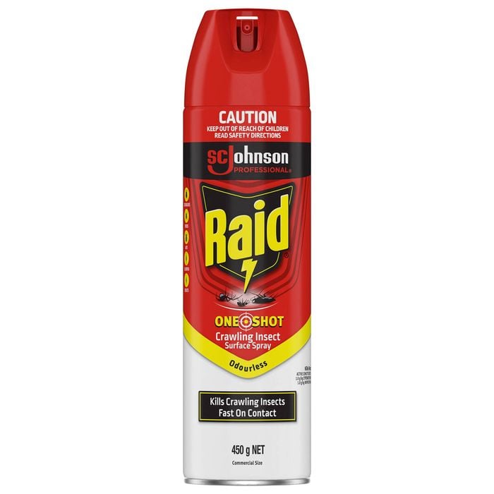 Raid 450g Odourless Kills Fast One Shot Pest Crawling Insect Surface Spray