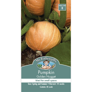 Mr Fothergill's Golden Nugget Pumpkin Vegetable Seeds