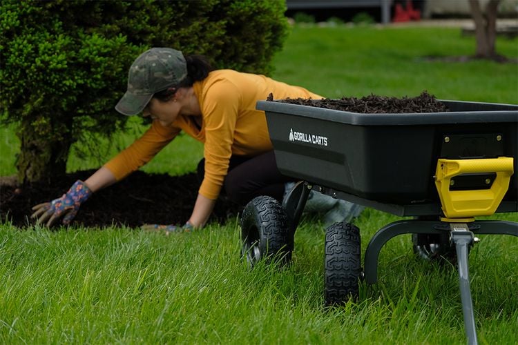 Woman spreading fertiliser around the base of a bush, with a Gorilla Cart holding more in the foreground