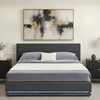 Big Lot Charcoal Victoria Gas Lift Storage Bed Frame with LED - Charcoal, King