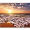 Beautiful Tropical Sunrise View   Print 100% Australian Made 75 x 50cm  (Stretched)
