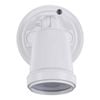 Brilliant White Raptor III Single LED Flood Light