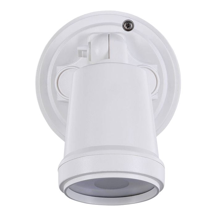 Brilliant White Raptor III Single LED Flood Light