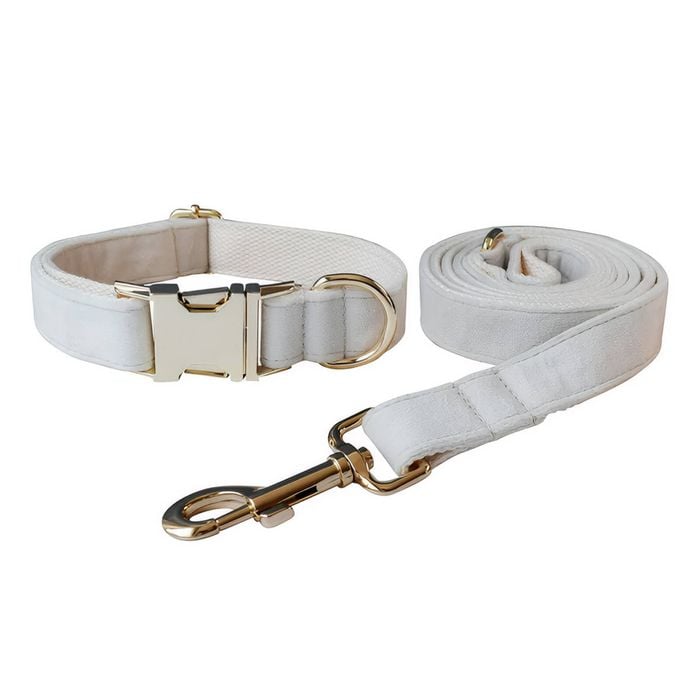 ANYWAGS Pet Collar Leash Set White Supplies Dog Accessories