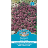Mr Fothergill's Royal Carpet Alyssum Flower Seeds
