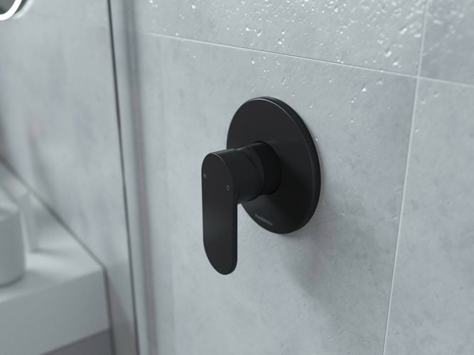 Flexispray Havana Matte Black Shower Mixer