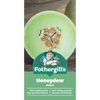 Fothergill's Honeydew Melon Fruit Seeds