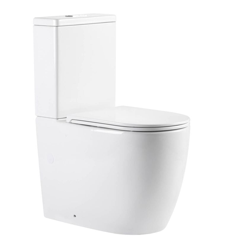 Turbo Flush 360 Back To Wall Rimless Toilet Suite