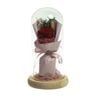 Preserved Dried Rose Flower 21cm Floral Set in Glass Dome w/ Fairy Lights in Red - Pink/Red | Preserved Flower