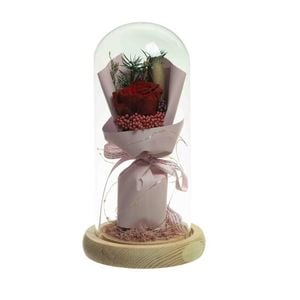 Preserved Dried Rose Flower 21cm Floral Set in Glass Dome w/ Fairy Lights in Red - Pink/Red | Preserved Flower