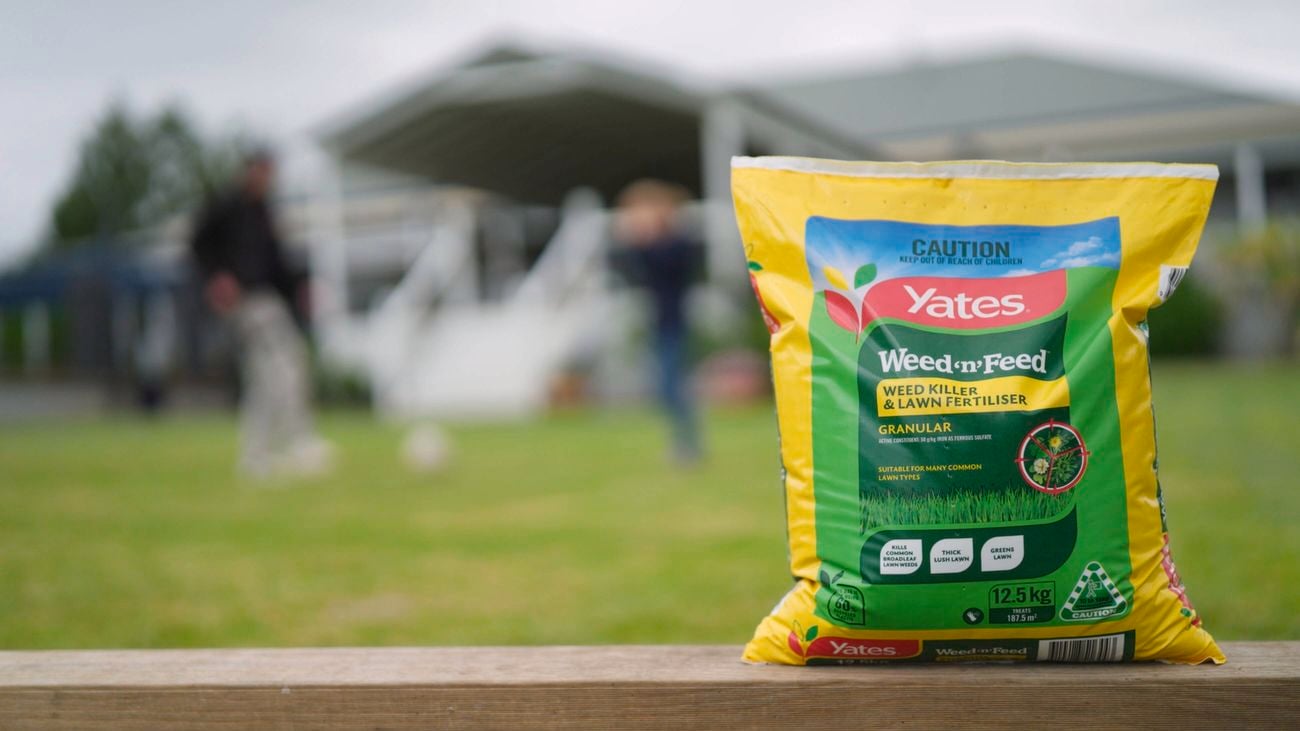 Yates weed n feed bag in the backyard with the two people and the house out of focus in the distance