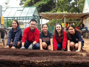 Media Release - Bunnings 25th Birthday - Hero Image