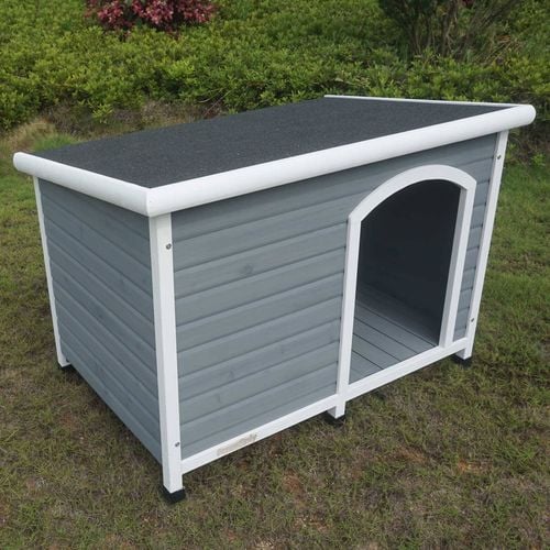 Dog kennels for sale bunnings best sale